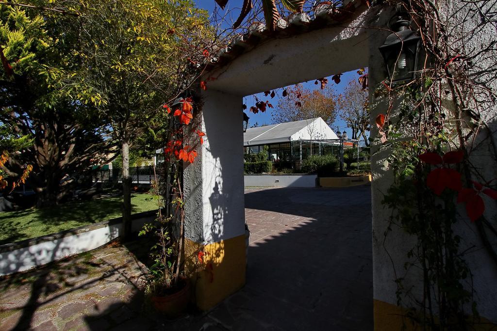 Rosas Sintra