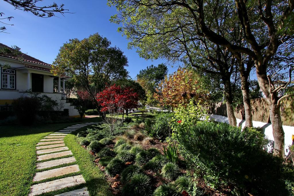 Affittacamere Rosas Sintra